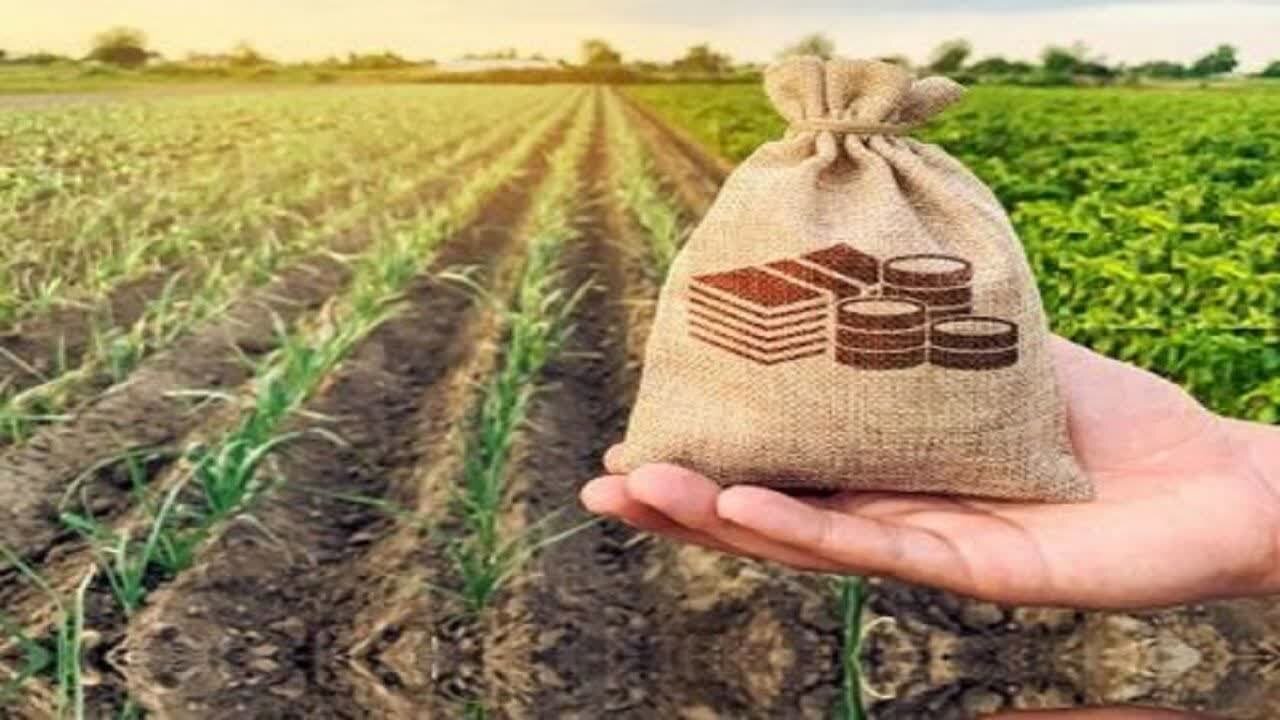 استفاده حداکثری از ظرفیت صندوق‌ کارآفرین امید برای حمایت از بخش کشاورزی
